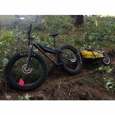 The Robert Axle Project Axe Traversant 12 Mm Pour Remorque Vélo BOB – Image 6