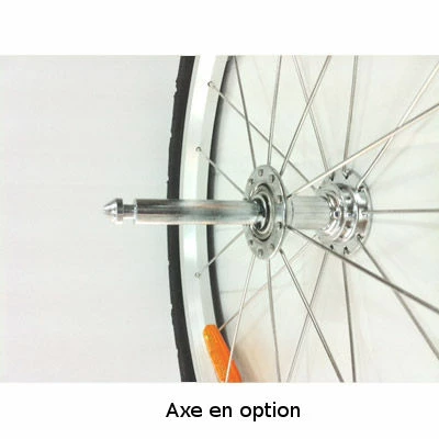 Maxxus Roue 20 Pouces Pour Remorque Vélo – Image 3